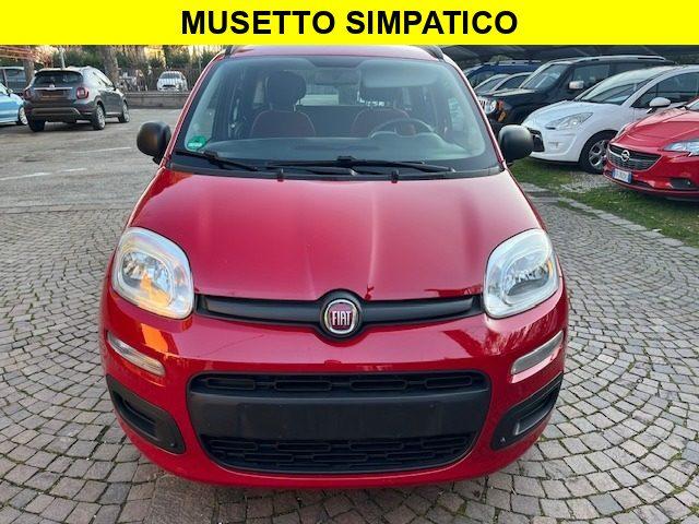 FIAT Panda 1.2 Benzina Neopatentati