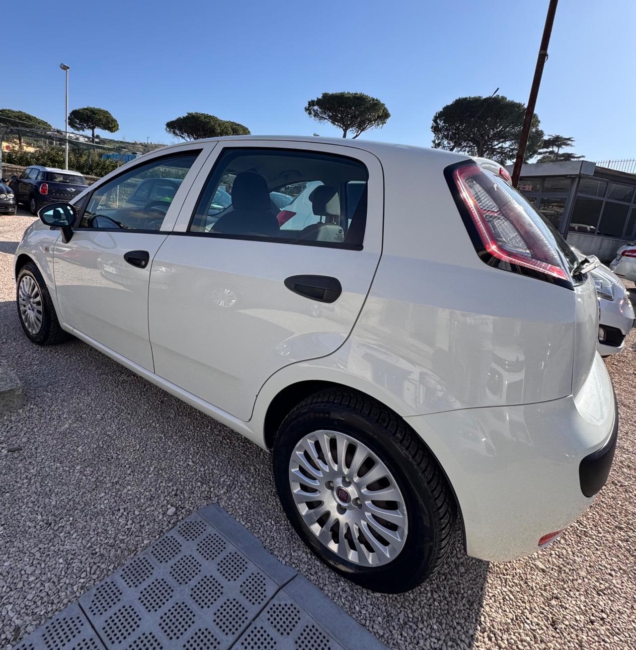 Fiat Punto Evo Punto Evo 1.4 5 porte S&S Dynamic