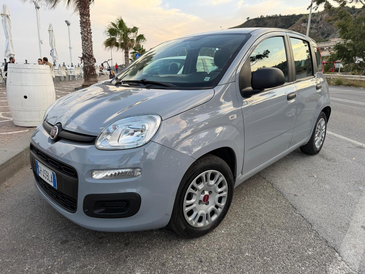 Fiat Panda anno 2022 da vetrina benzina ibrida