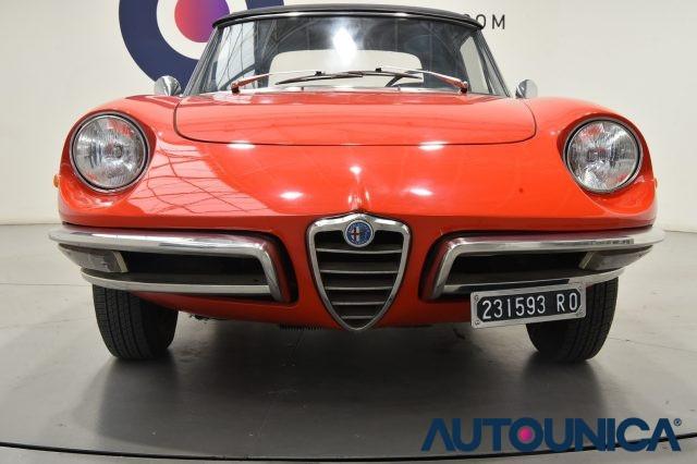 ALFA ROMEO Spider 1300 JUNIOR OSSO DI SEPPIA ASI TARGA ORO