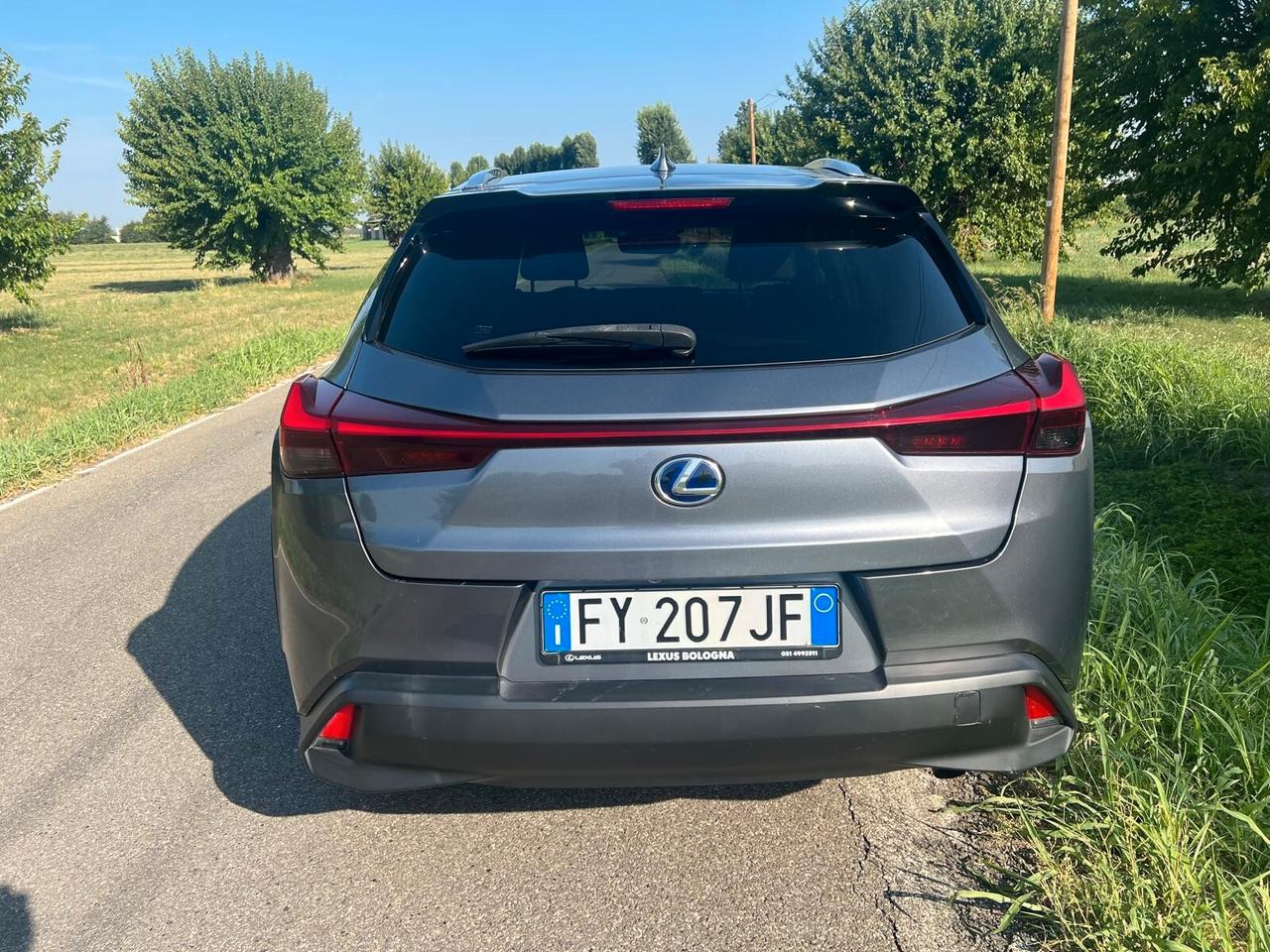 Lexus UX Hybrid 4WD Executive