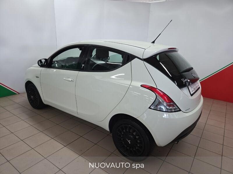 Lancia Ypsilon 1.2 69cv Elefantno