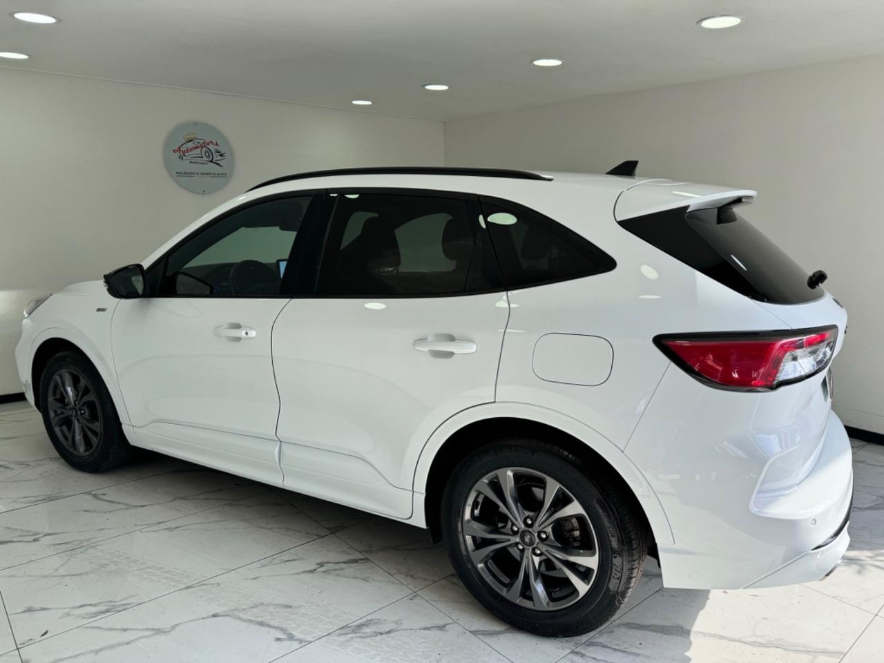 Ford Kuga 1.5 EcoBlue 120 CV-ST LINE-AUTOMATICA