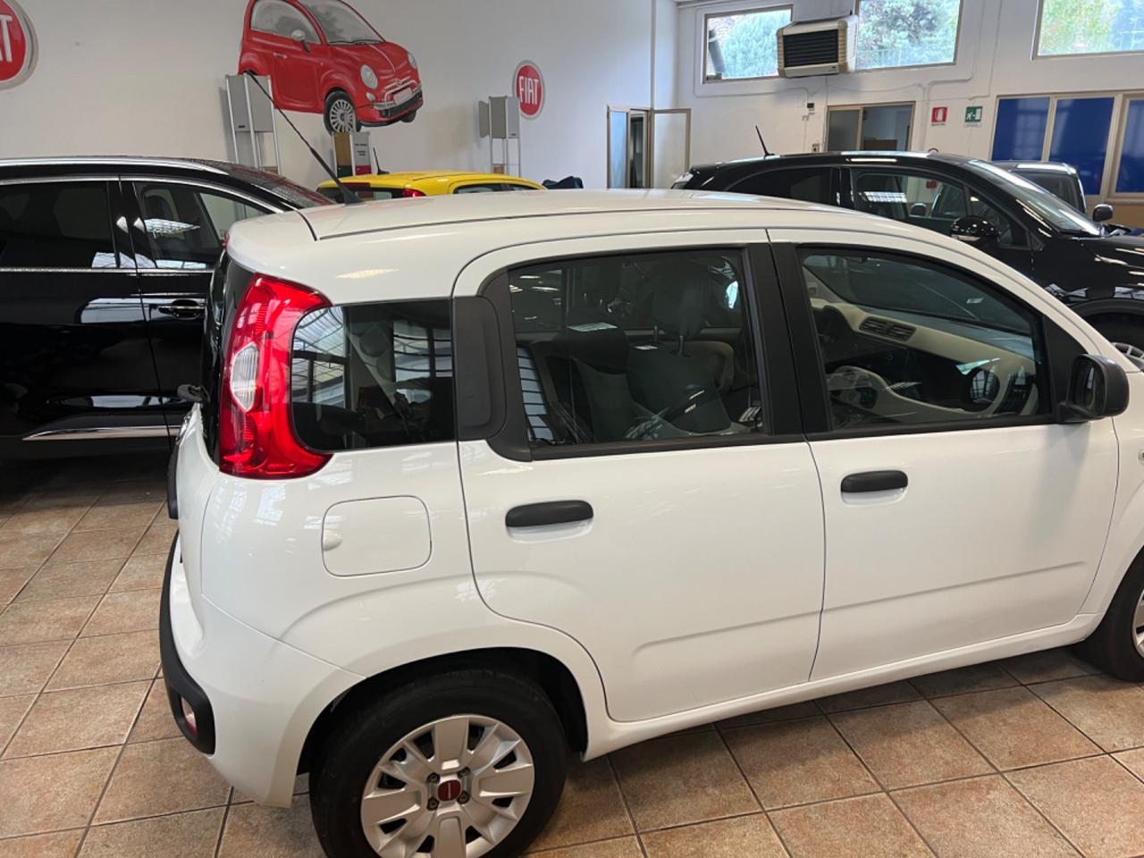 Fiat Panda 1.2 Easy - MOTORE NUOVO