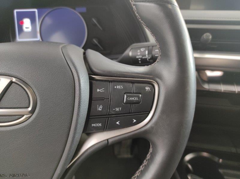 LEXUS UX - UX Hybrid Business
