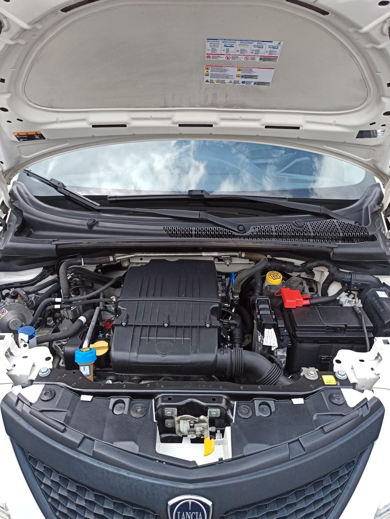 Lancia Ypsilon 1.2 69 CV 5 porte GPL Ecochic Elefantino Blu