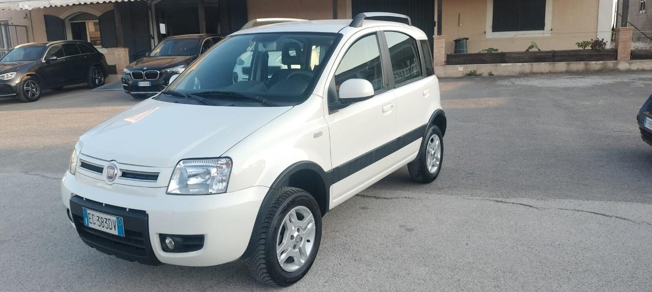 Fiat Panda 1.3 MJT 16V DPF 4x4 Climbing