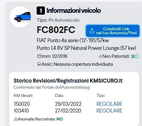 Fiat Punto 1.4 8V 5 porte Natural Power Lounge Metano