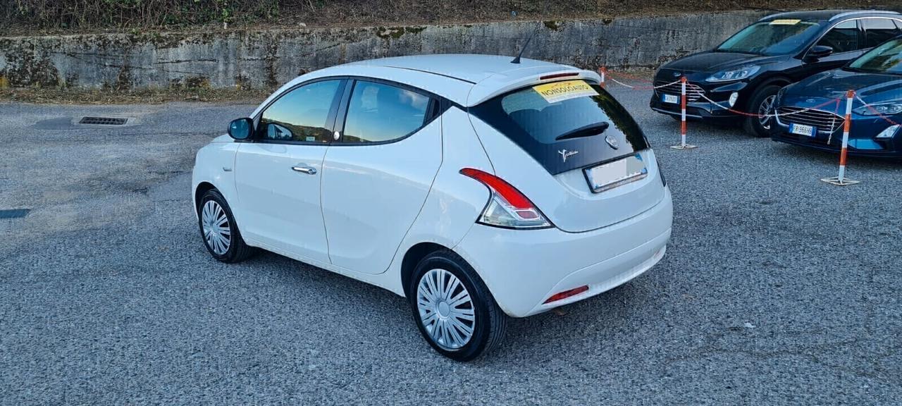 Lancia Ypsilon 1.2 69 CV 5p GPL Ecochic - 2016