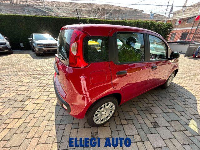 FIAT Panda PROMO FINANZIAM 1.0 HYBRID ICON 5 posti KM 0
