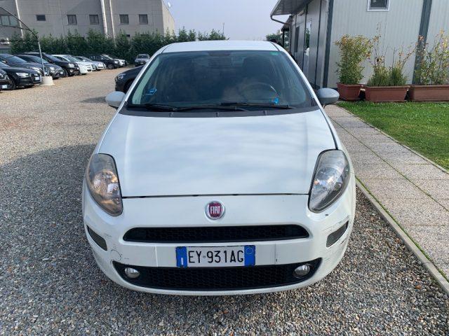 FIAT Punto 1.2 8V 5 porte Street