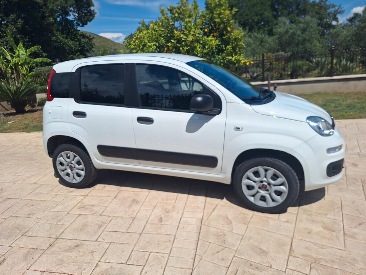 Fiat Panda 0.9 TwinAir Turbo S&S 4x4 Trussardi Van 2 posti