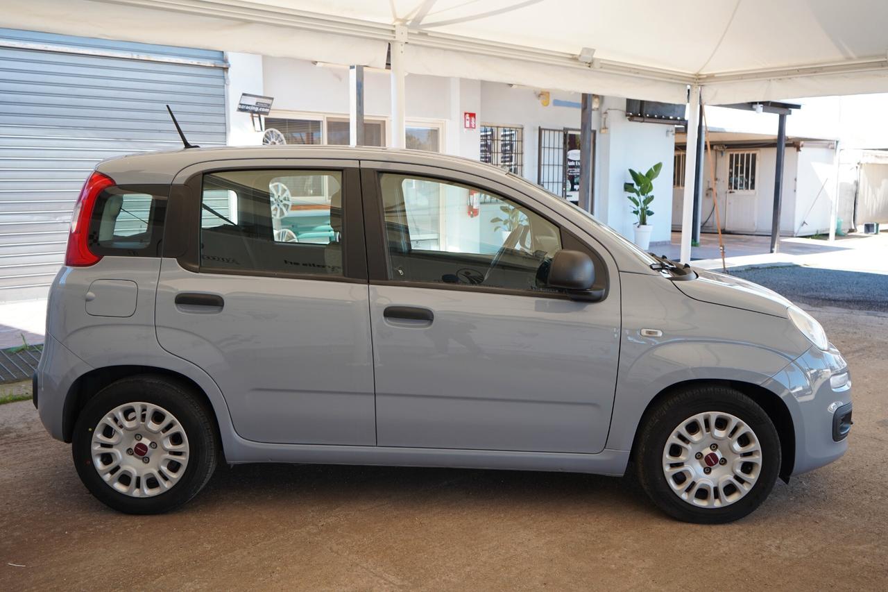 Fiat Panda 1.0 FireFly Hybrid 70 CV - 2021