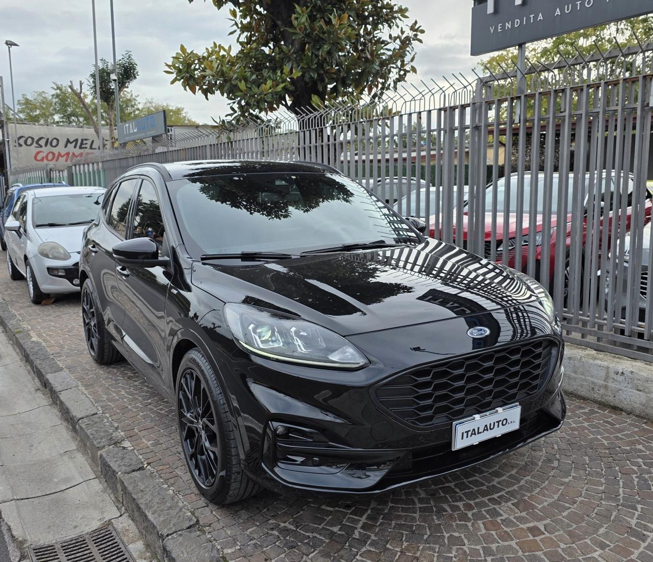 Ford Kuga 1.5 EcoBlue 120 CV aut. 2WD ST-Line