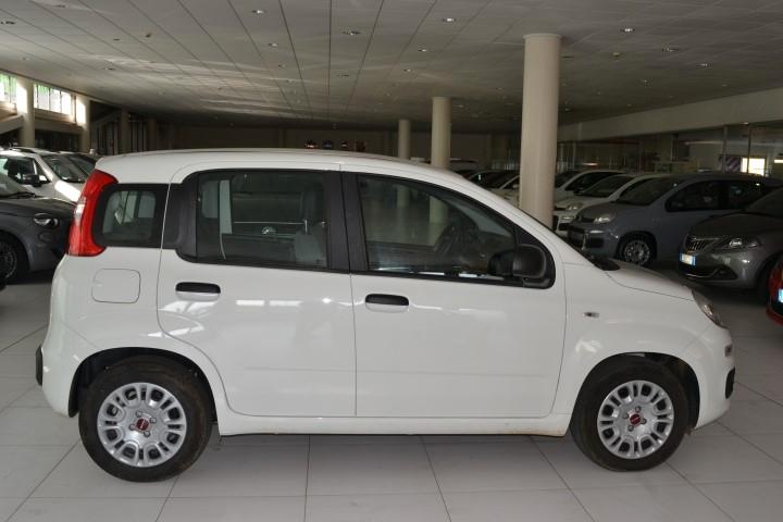 FIAT PANDA - 1.0 70cv HYBRID