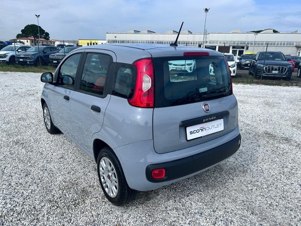 FIAT Panda III 2016 - Panda 1.2 Easy s&s 69cv my19