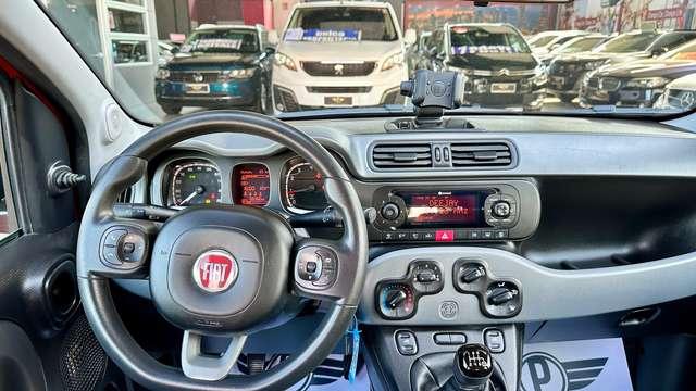 Fiat Panda 1.0 firefly hybrid 70CV S&S City Life+Neopatente