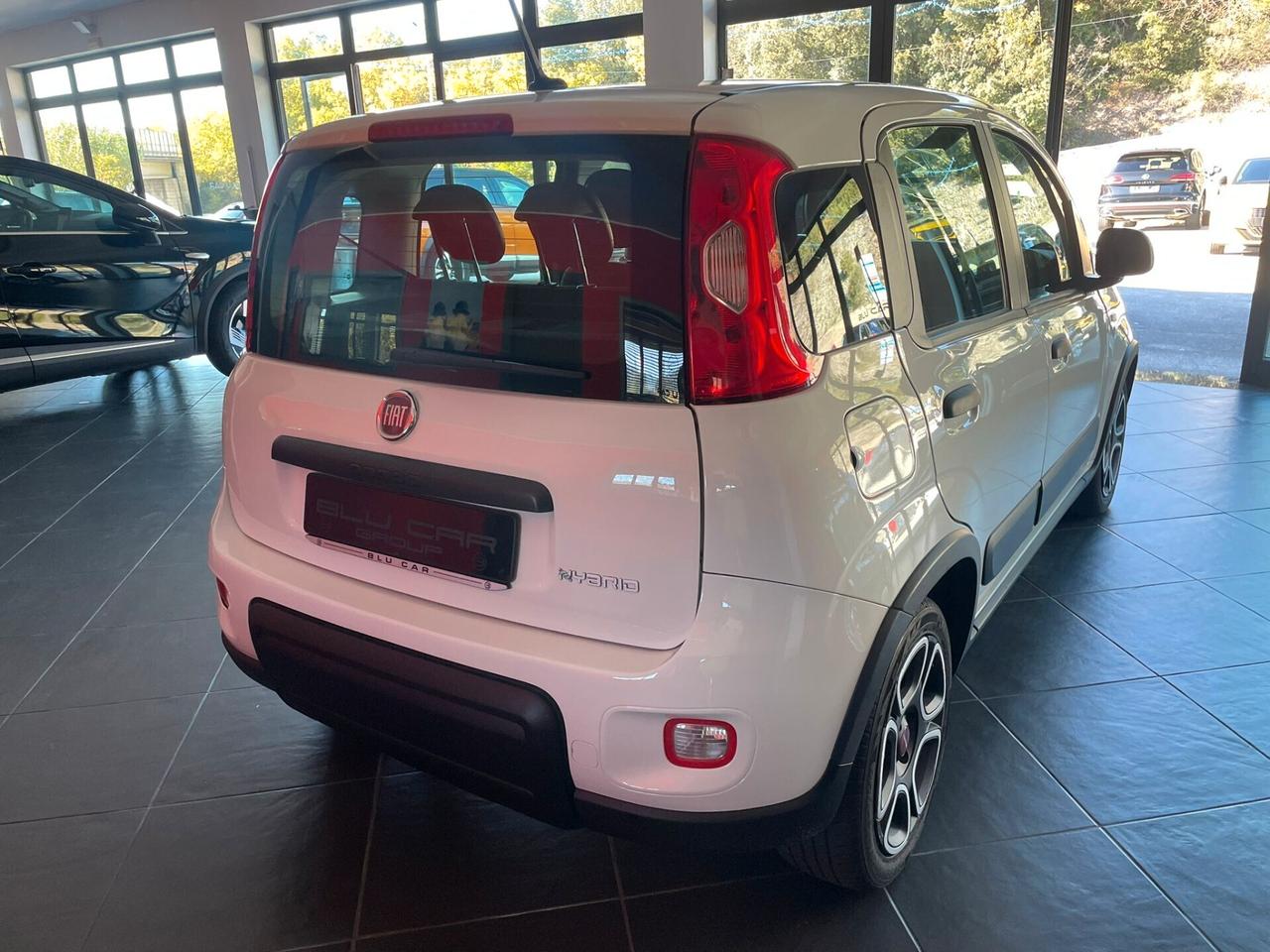 FIAT PANDA 1.0 FIREFLY HYBRID 70cv CITY LIFE