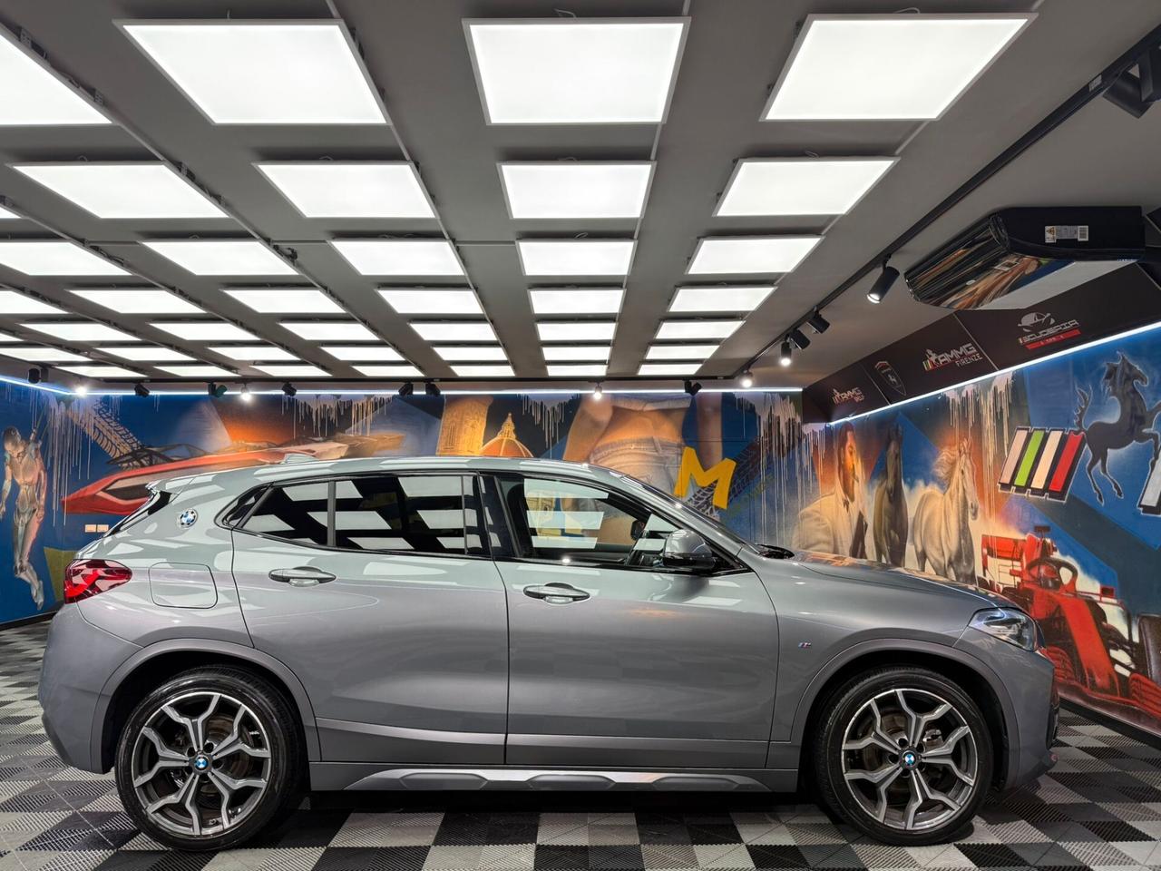 Bmw X2 sDrive18d Msport-X (500)