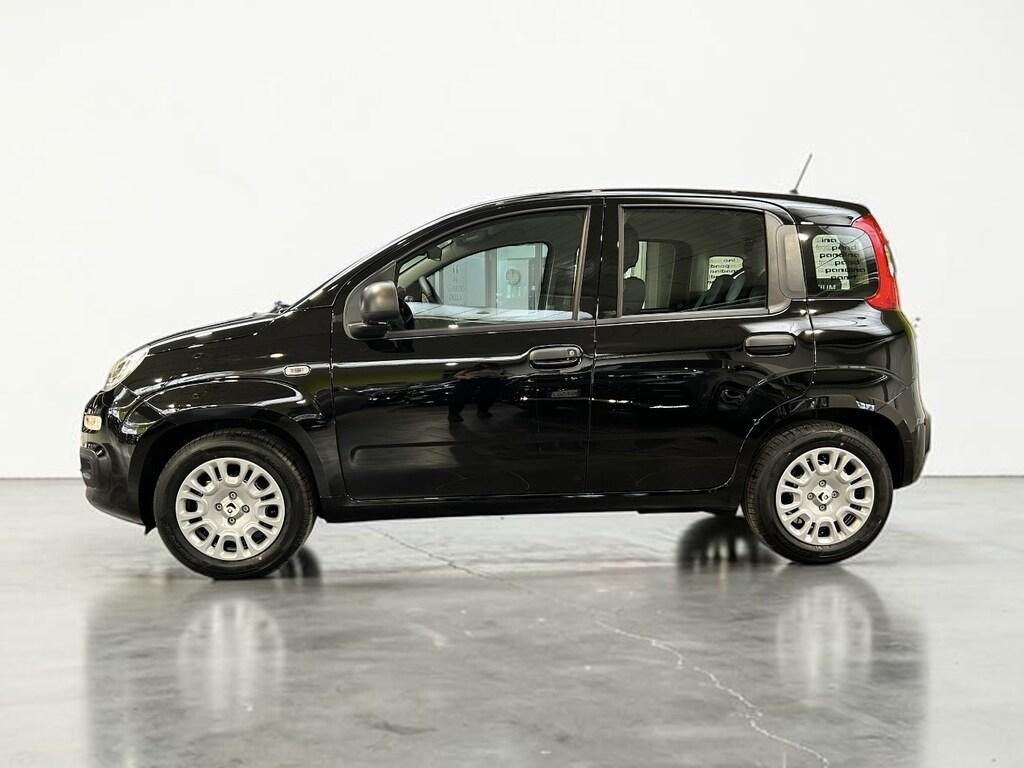 Fiat Pandina 1.0 FireFly Hybrid Icon