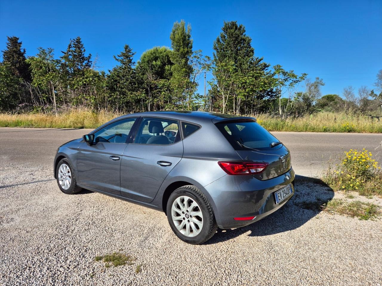 Seat Leon 1.6 TDI 105 CV Berlina Xenon