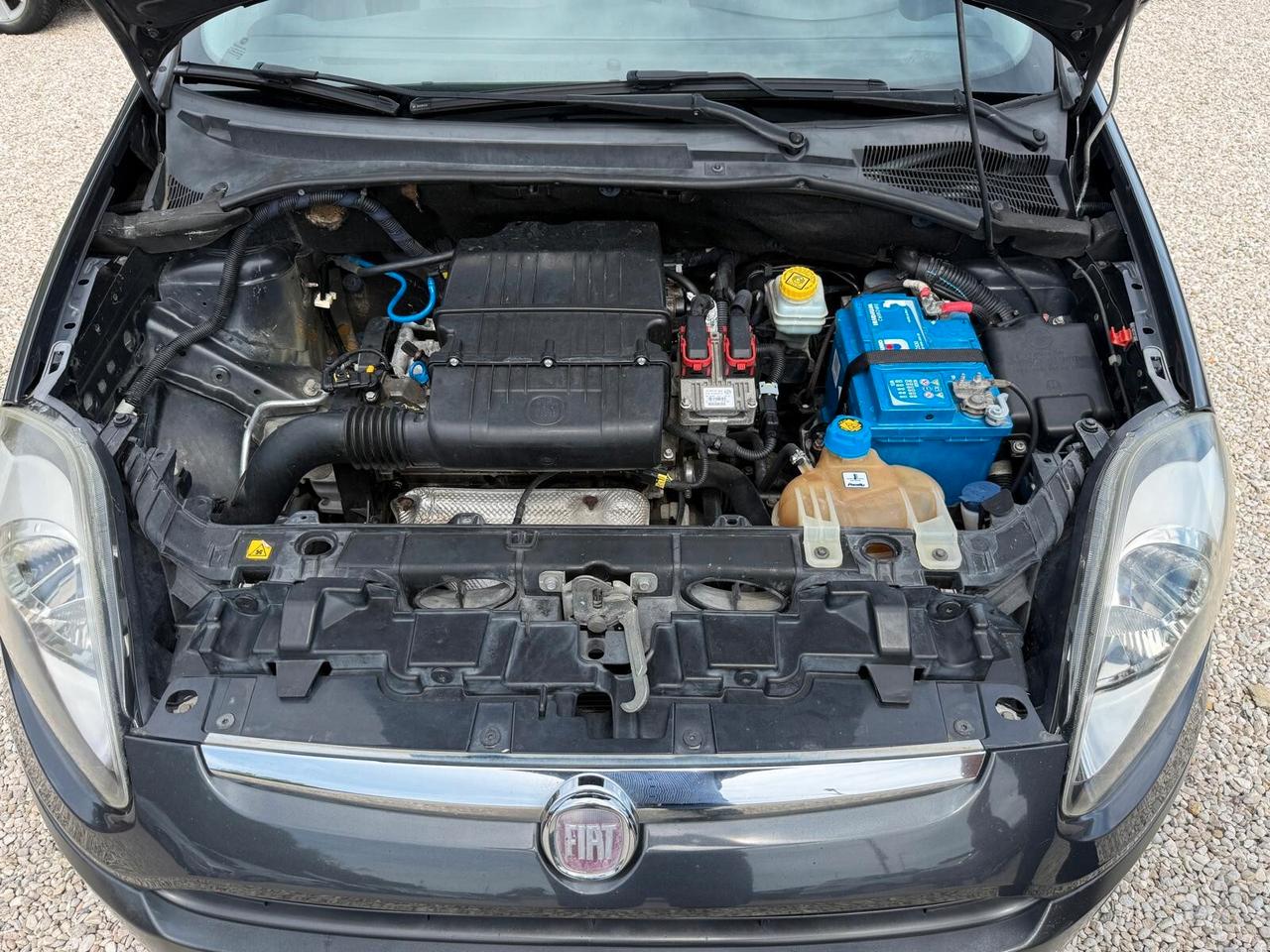 Fiat Punto Evo 1.2 5 porte Active