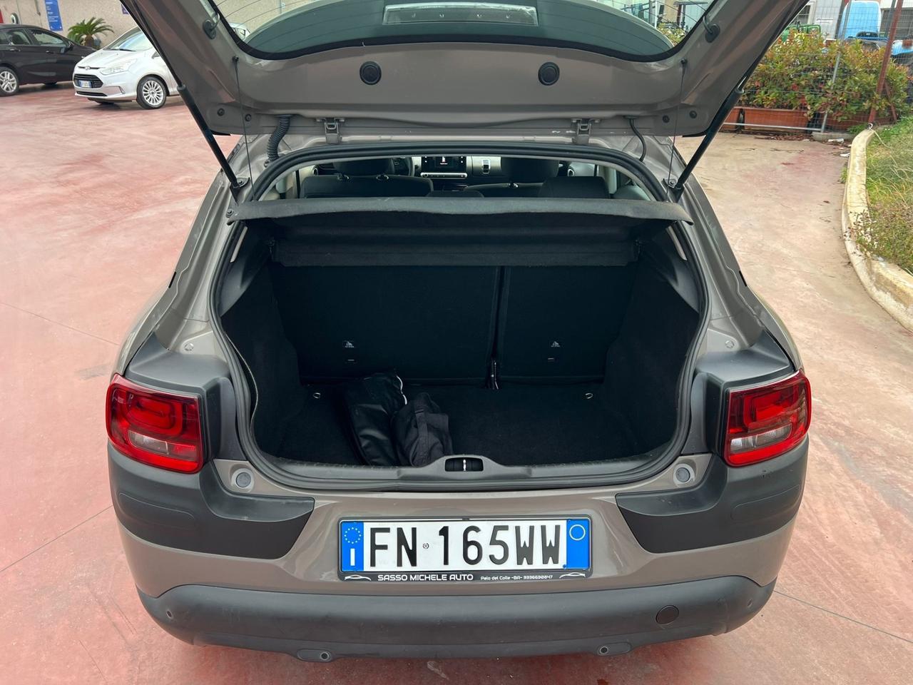 Citroen C4 Cactus BlueHDi 100 Feel