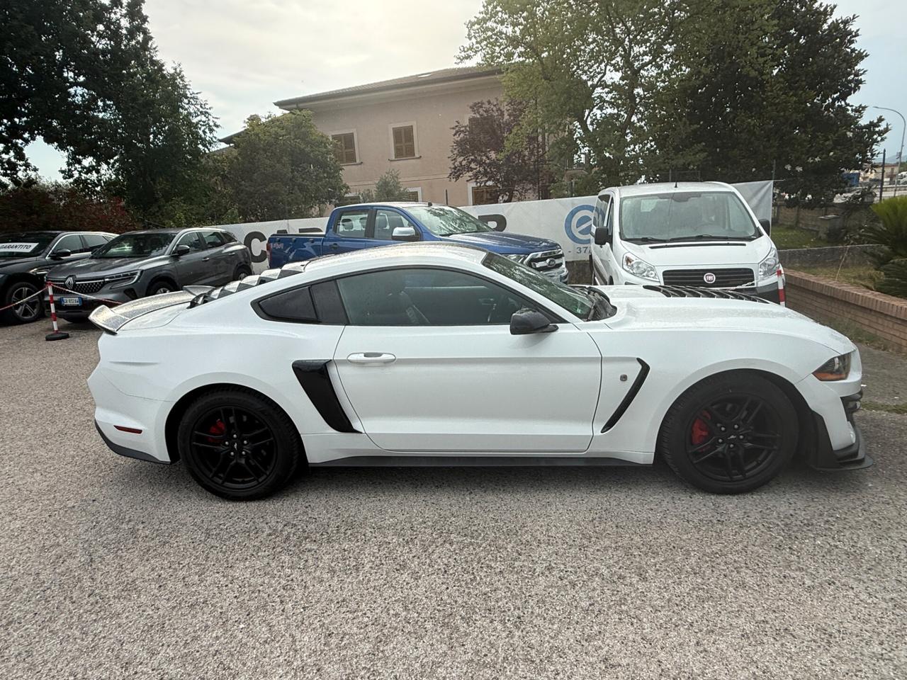 Ford Mustang SHELBY 2.3 EcoBoost 317 cv