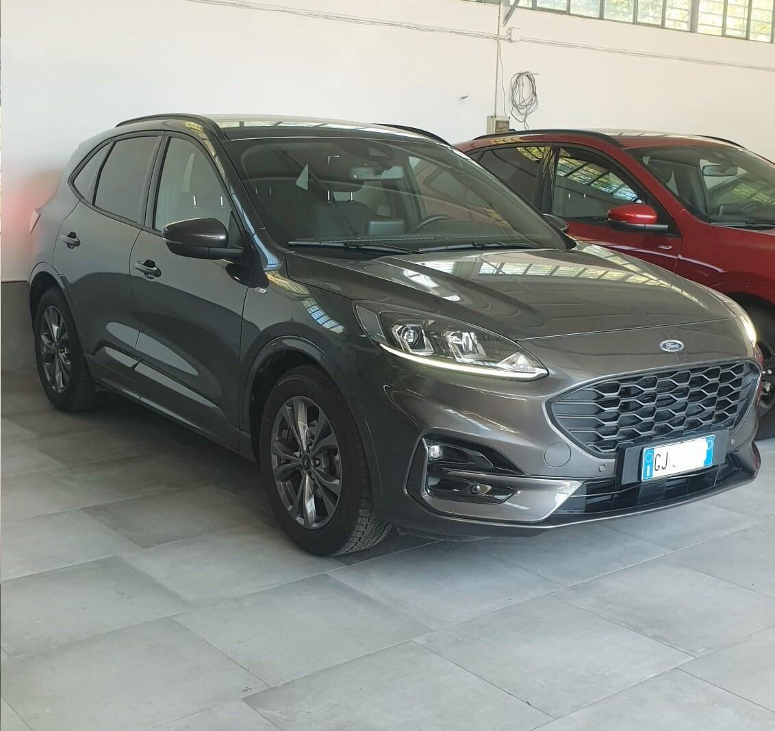 Ford Kuga 1.5 EcoBlue 120 CV 2WD ST-Line