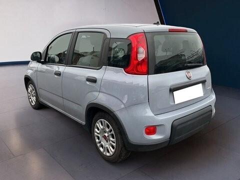 Fiat Panda Hybrid FireFly1.0 S&S 70cv