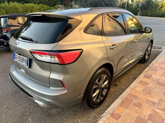 Ford Kuga Kuga 1.5 ecoblue ST-Line 2wd 120cv auto