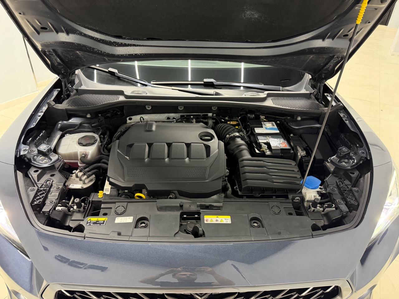 Cupra Formentor 2.0 TDI 4Drive DSG 64 mila km