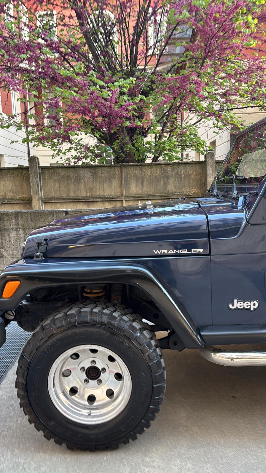 Jeep Wrangler 2.5 cat Soft top (EU)