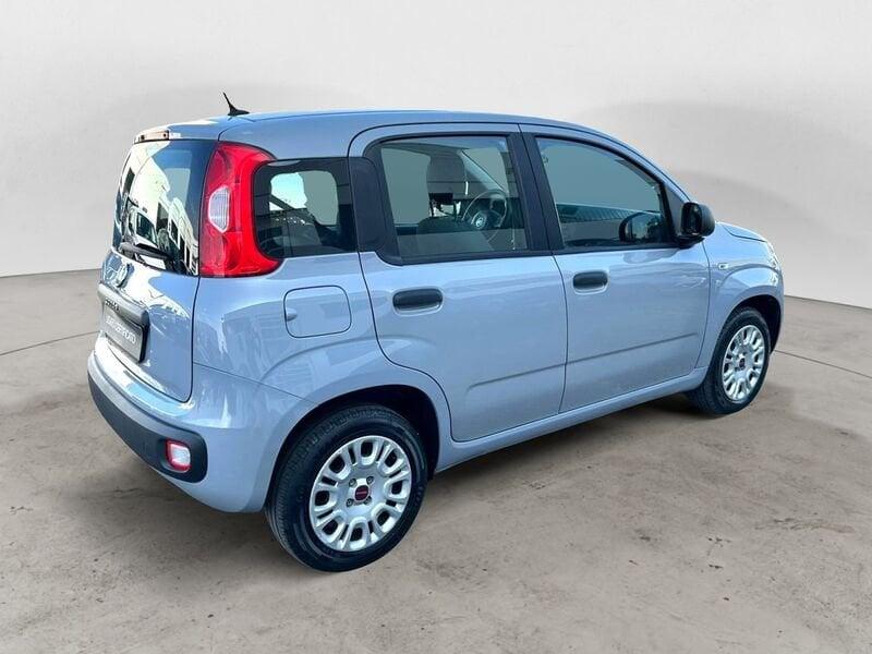 FIAT Panda 1.2 EasyPower 70 CV GPL Easy