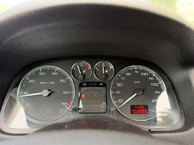 Peugeot 307 1.4 16V 5p. D-Sign Euro 4 adatta a neopatentati