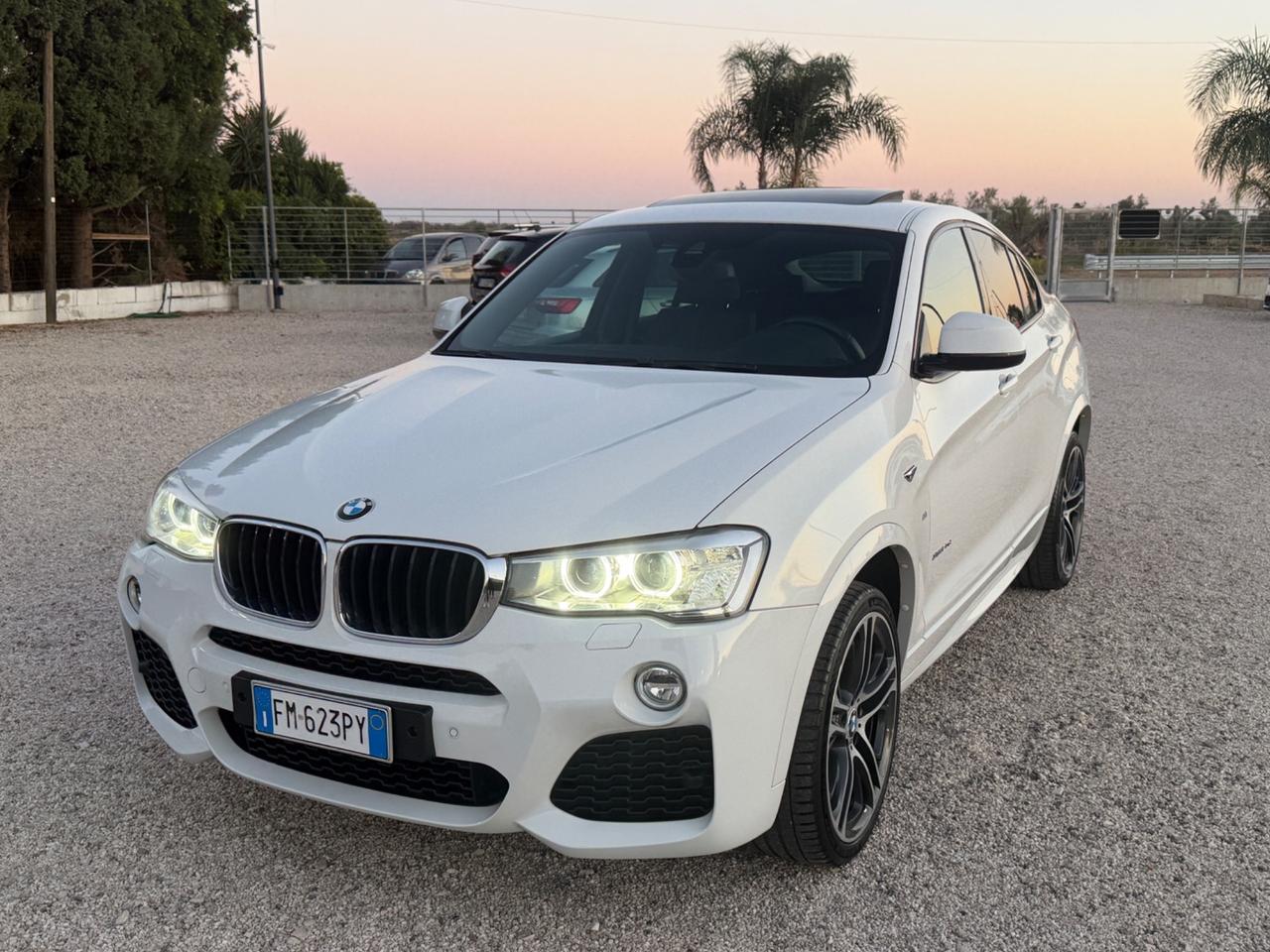 Bmw X4 xDrive20d Msport