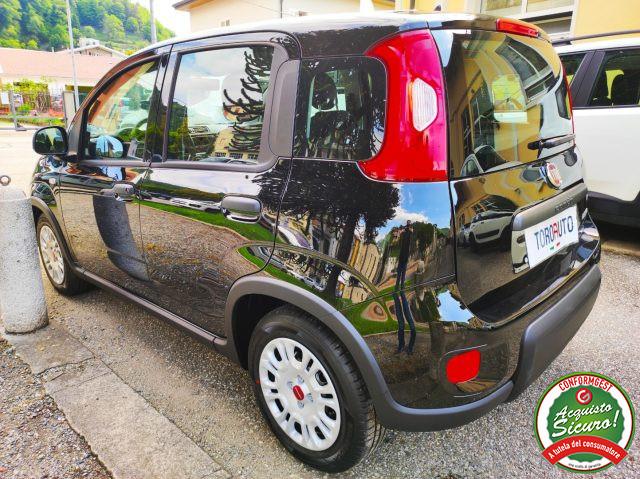 FIAT Panda 1.0 FireFly Hybrid PRONTA CONSEGNA