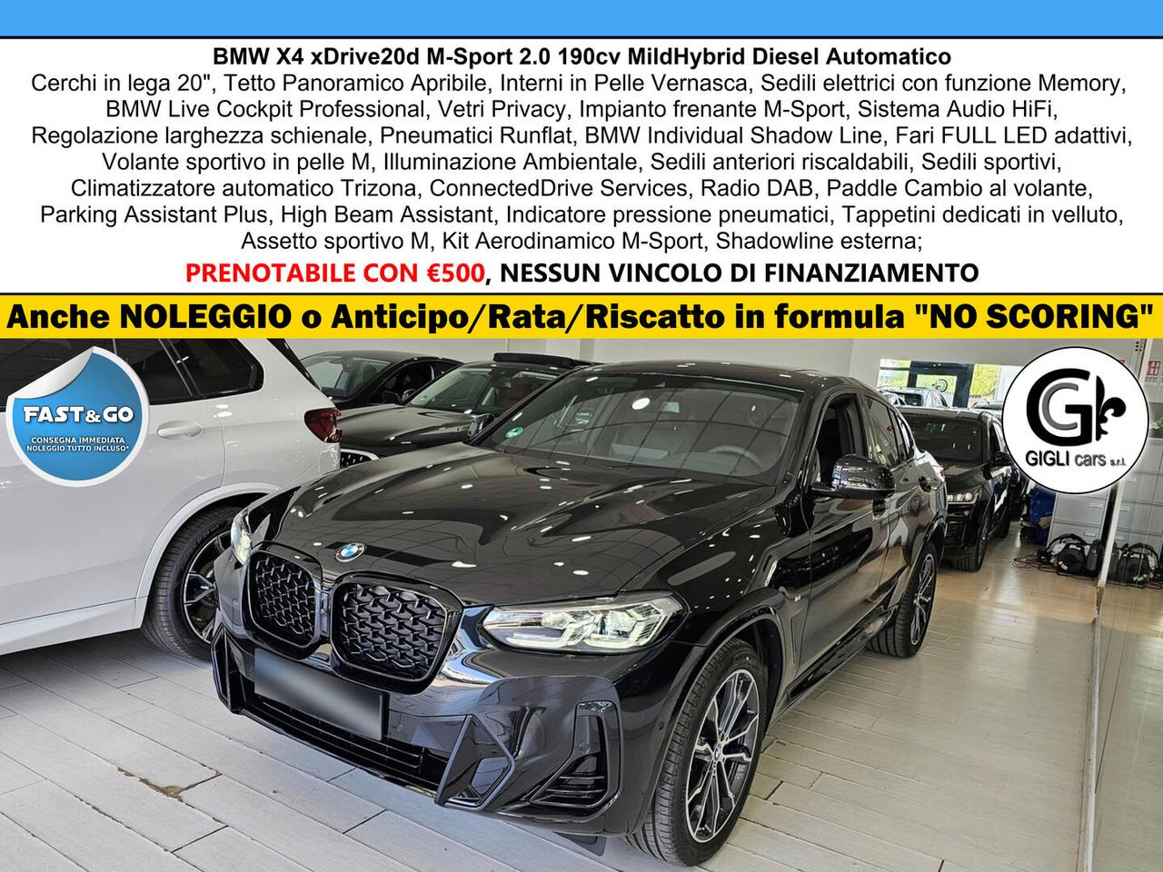 BMW X4 XDrive20d M-Sport C20" TETTO Navi CAM LED Clima3Z