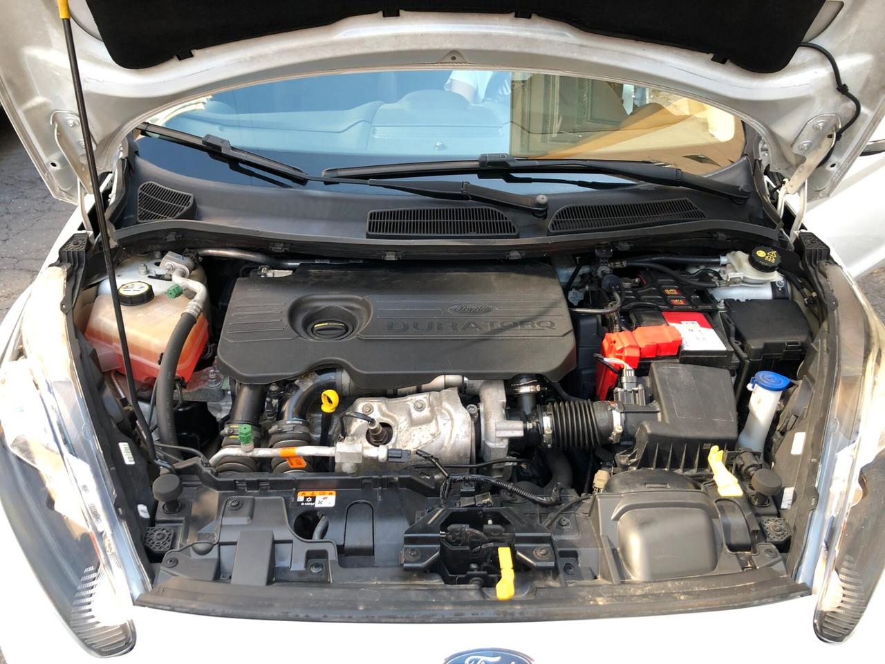 Ford Fiesta 1.5 TDCi 75CV 5 porte Business