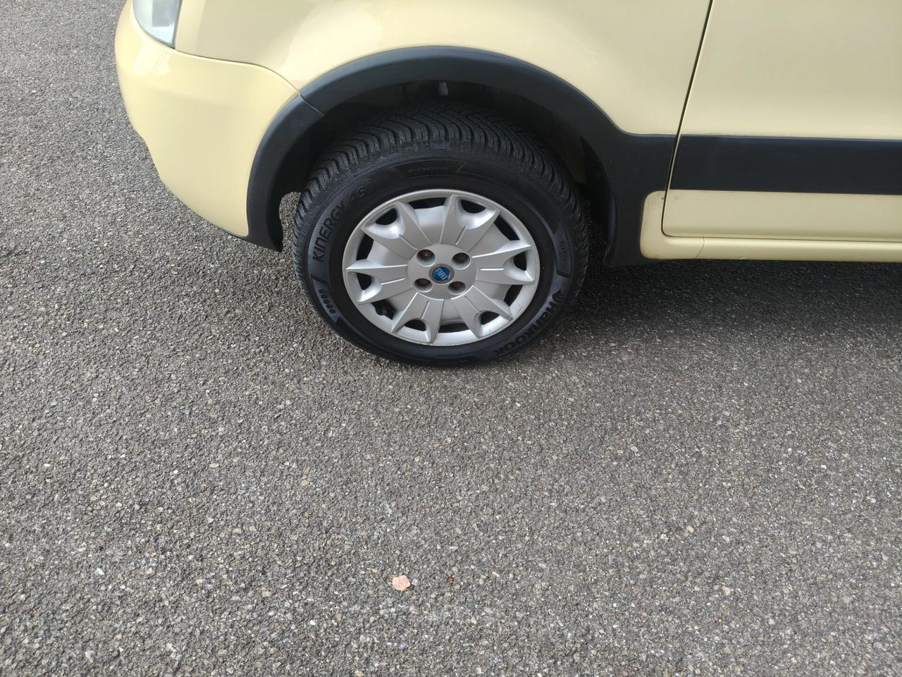 Fiat Panda 1.2 4x4 Climbing GPL NEOPATENTATI