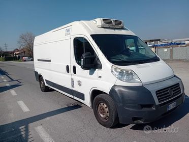 FIAT DUCATO CON FRIGO ANNO 2010 SUPER PREZZO!