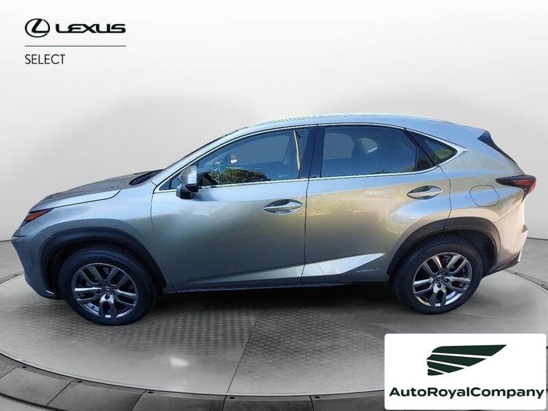 Lexus NX NX Hybrid 4WD Executive