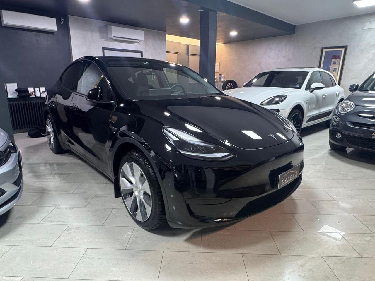 Tesla Model Y -- Standard Range / Standard S #8355