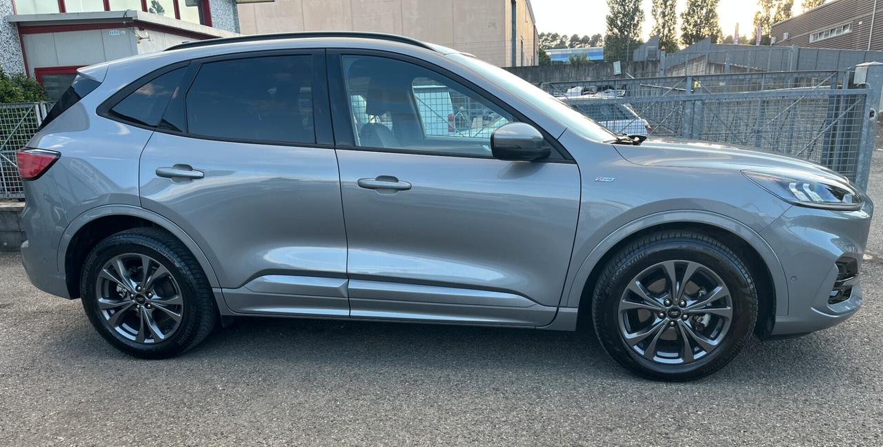Ford Kuga 2.5 Full Hybrid 190 CV CVT 2WD ST-Line