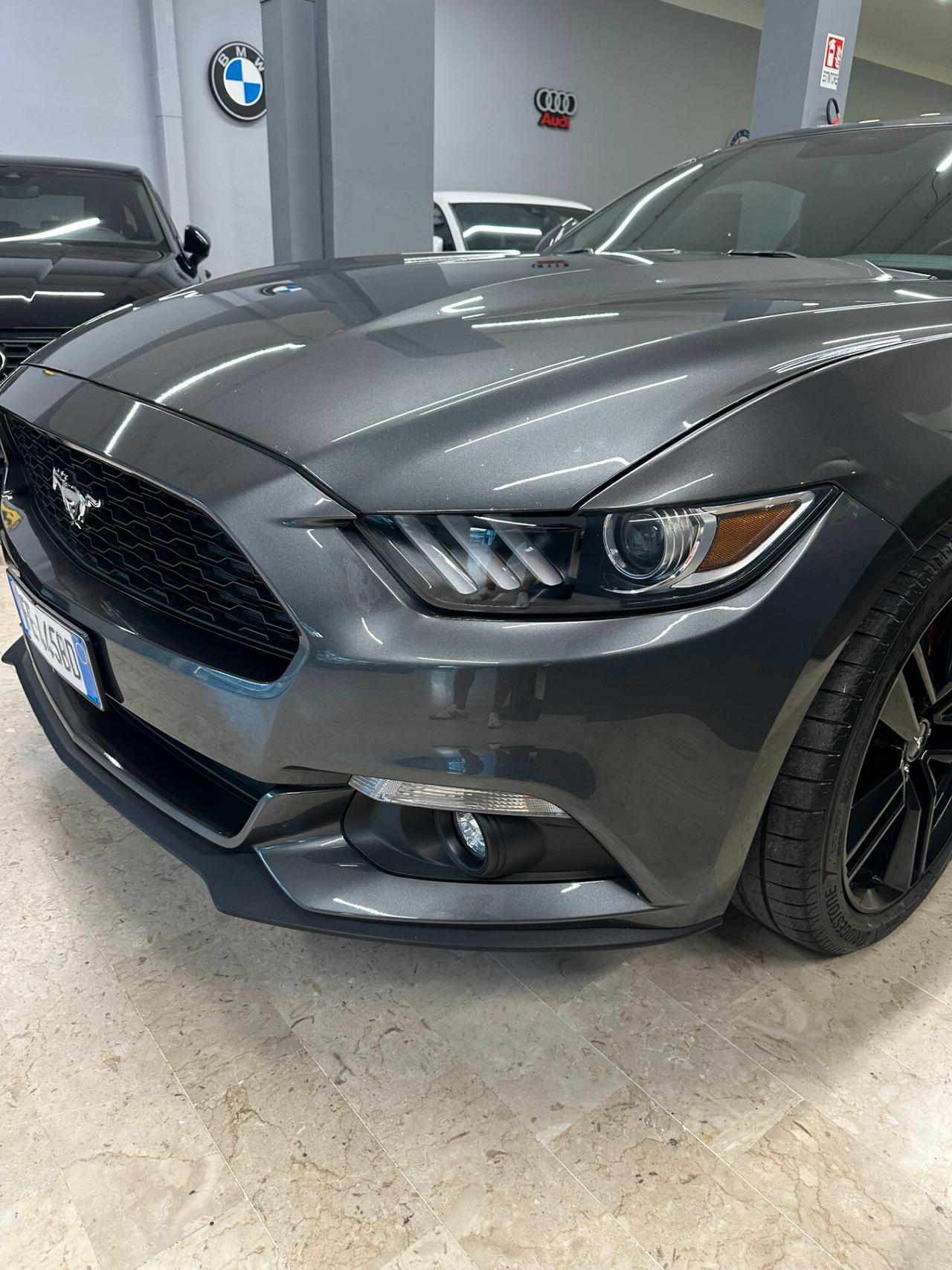 Mustang MUSTUNG