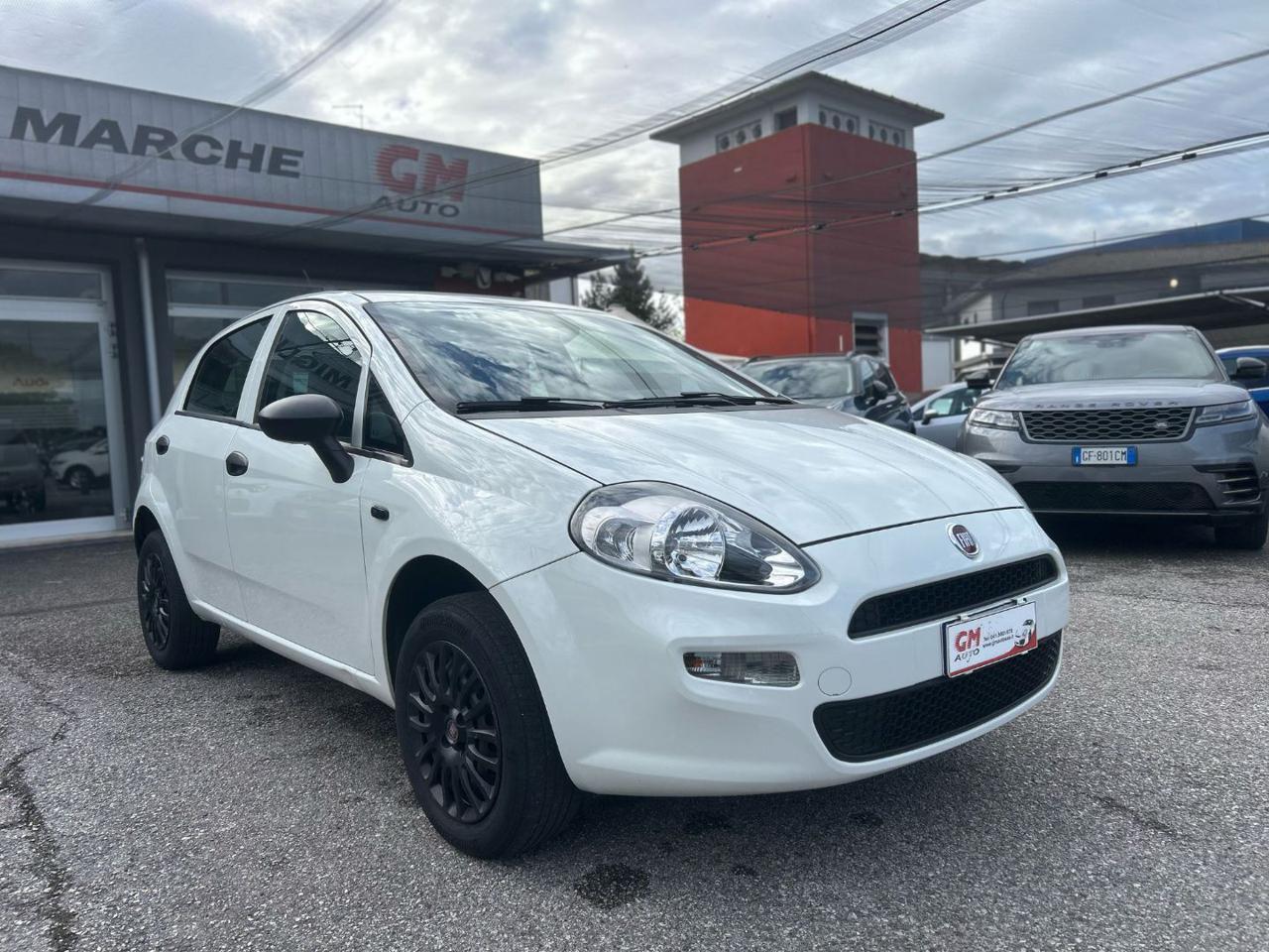 FIAT Punto 1.4 8V 5 porte Natural Power Street