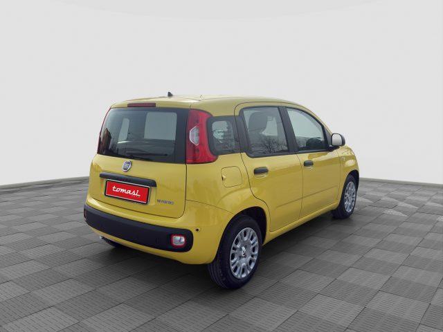 FIAT Panda Pandina 1.0 FireFly 65 CV Hybrid Pop