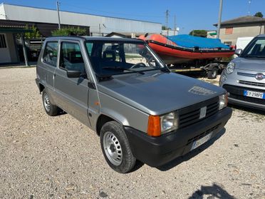 FIAT PANDA 1.1 YOUNG - CONSERVATA
