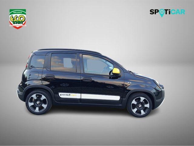 FIAT Panda 1.0 FireFly S&S Hybrid Pandina