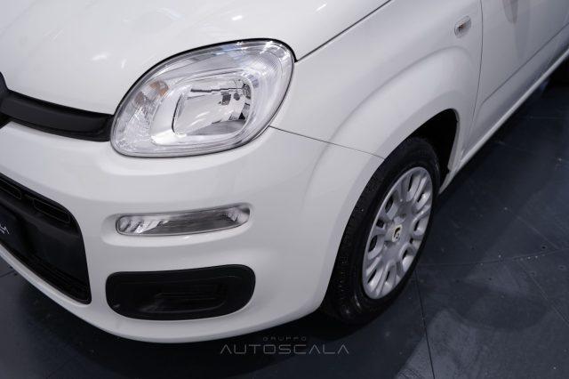 FIAT New Panda My25 1.0 FireFly S&S Hybrid